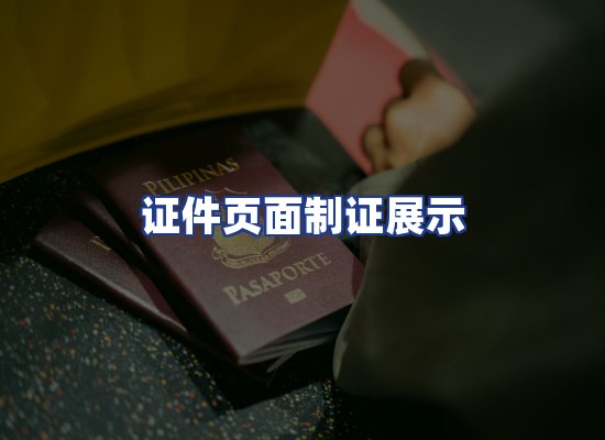 证件页面制证展示